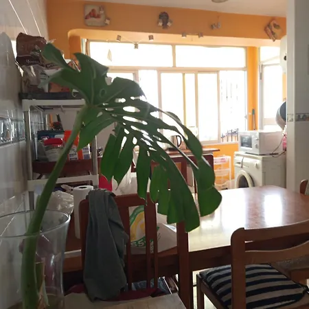 Séjour chez l'habitant Privada Amplia *